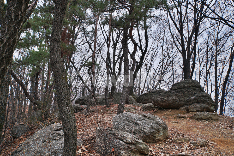 모락산,산,의왕시,자연,바위,나무,낙엽,계절,소나무,자연,풍경,nature,landscape