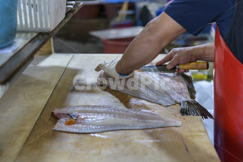 수산시장,광어회,횟집,스시,생선회
