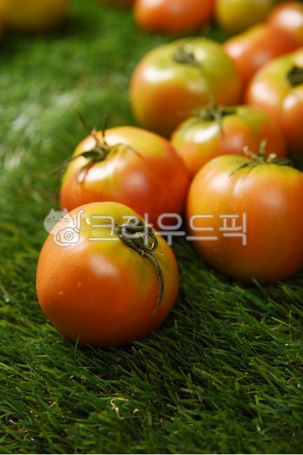 Tomato Dishes,fruit,tomato,vegetable,food