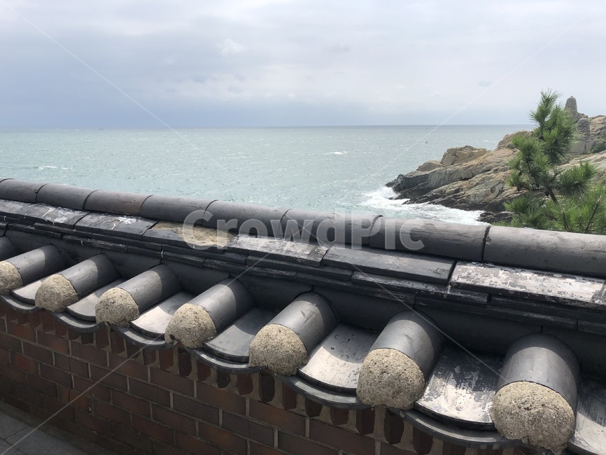 바다,자연,기와,절,암반,풍경,scenery,scene,sea,nature,rooftile,temple,부산,한국,busan,korea,절경