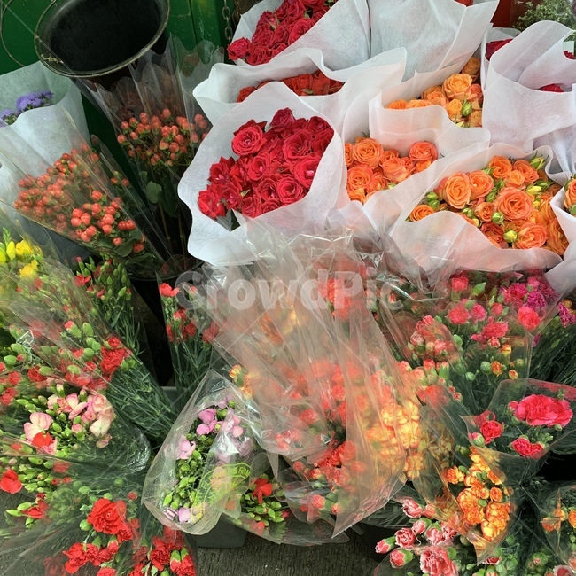 꽃,독특한,쨍한,비비드,꽃다발