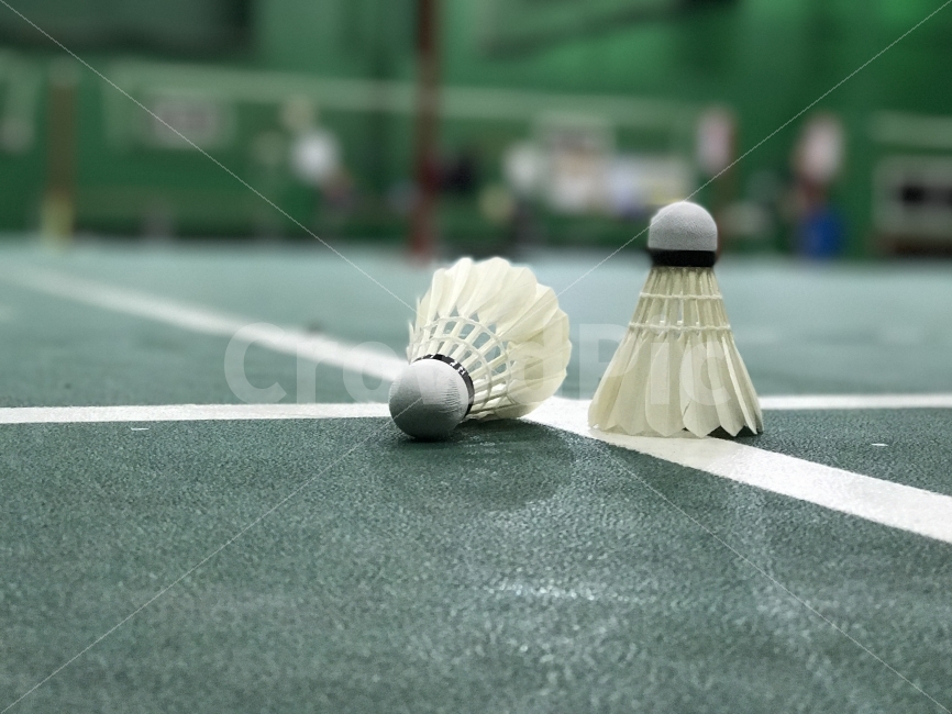 셔틀콕,배드민턴,배드민턴공,체육,스포츠,운동,Shuttlecock,스포츠,레저,운동,sports,leisure,exercise,사물,물건,오브젝트,thing,object,matter