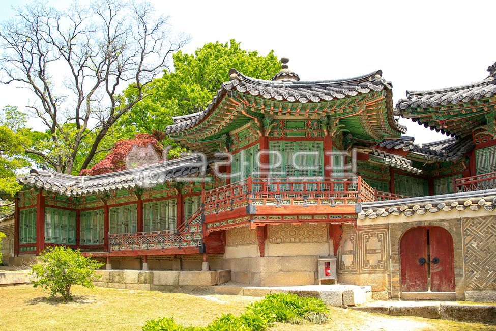 창덕궁, 고궁, 왕궁, 한국, 전통, 사진,이미지,일러스트,캘리그라피 - imlover작가