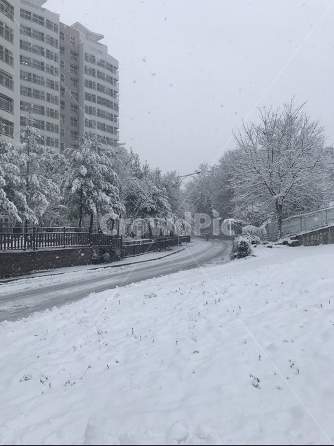 눈,nature,자연,snow,겨울,winter,겨울,계절,winter,season