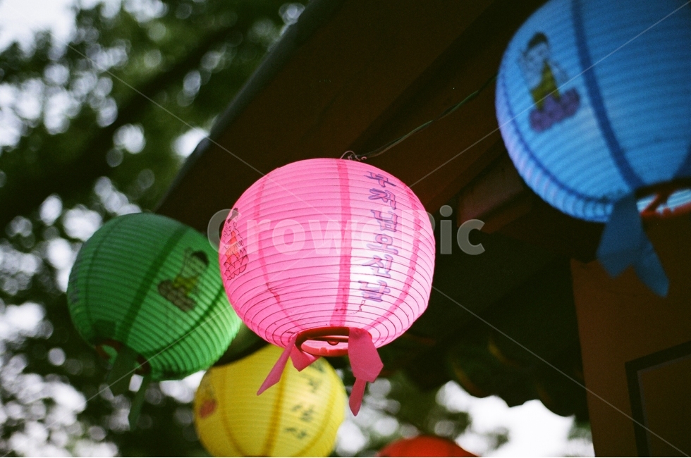 필름사진,부처님오신날,연등,불빛,절,한국전통,한국문화,korean traditional,korean culture,종교,신앙,religion,belief,faith,축제,행사,festival,carnival,event,기념일,축하,anniversary,congratulation,celebrate,celebration