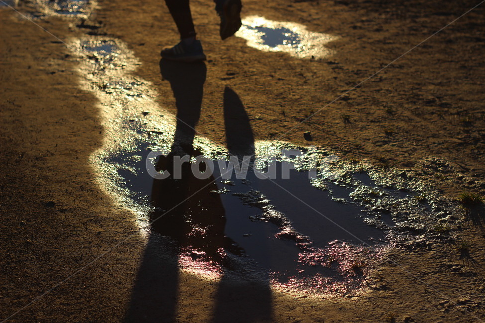 유럽,길거리,땅,그림자,shadow