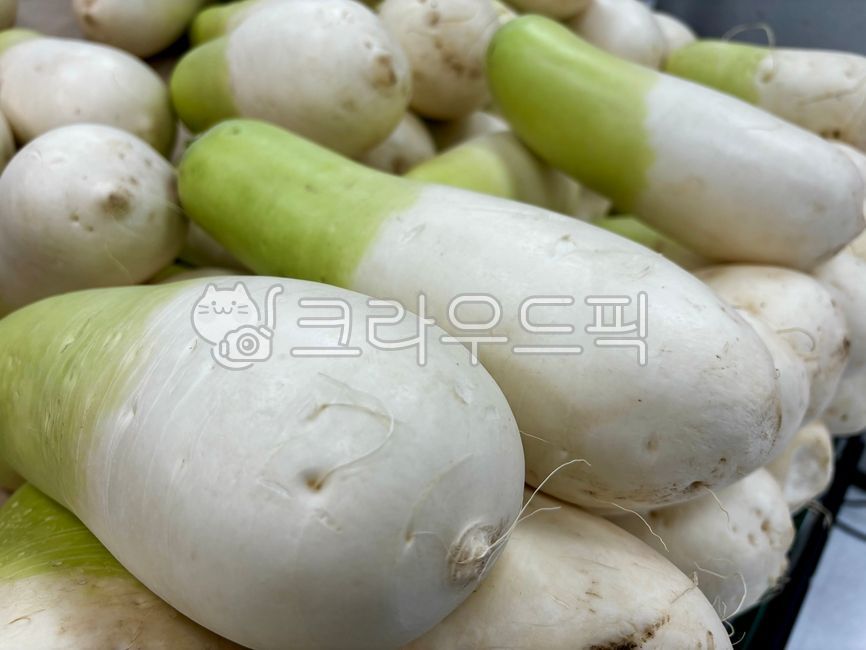 food, 음식, radish, 무, vegetable, 사진,이미지,일러스트,캘리그라피 - 낭만작가작가