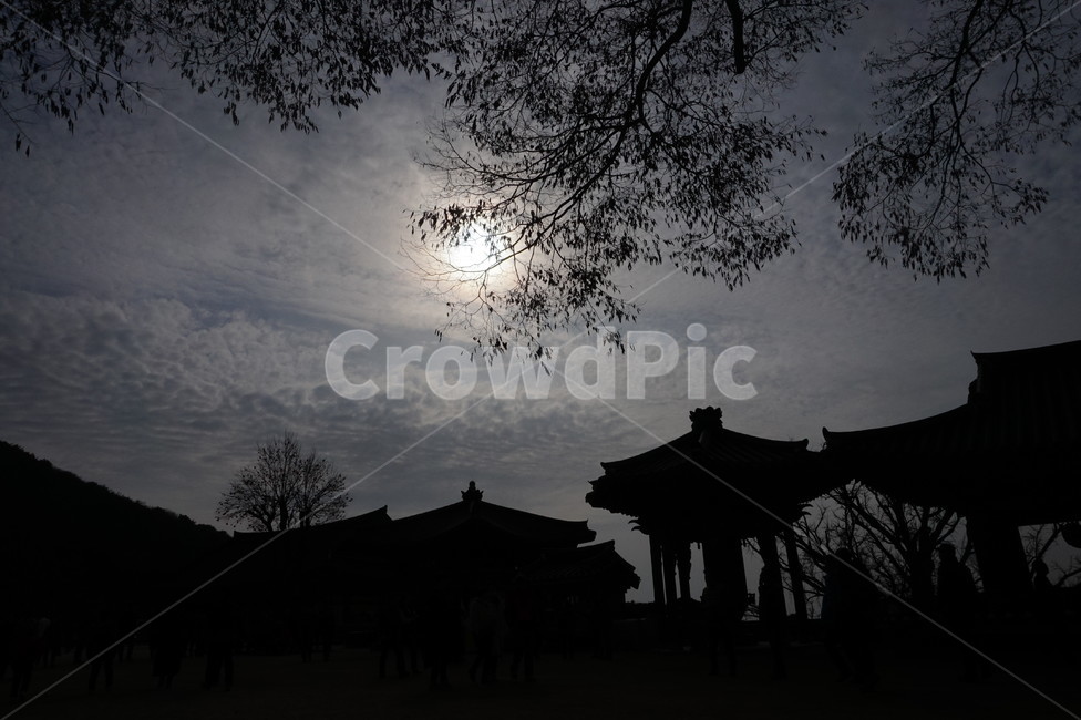 절,한국적인,풍경,동양적인,해,역광,실루엣,그림자,silhouette,shadow