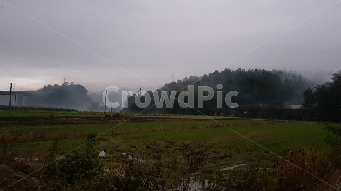 nature,자연,땅,land,outdoors,옥외,안개,fog,mist,자연,풍경,nature,landscape