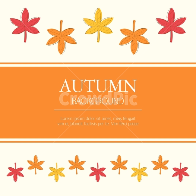 단풍,낙엽,프레임,일러스트,배경,백그라운드,팝업,배너,카드,가을,계절,fall,autumn,season,그래픽,일러스트레이션,graphic,illustration,paper,종이