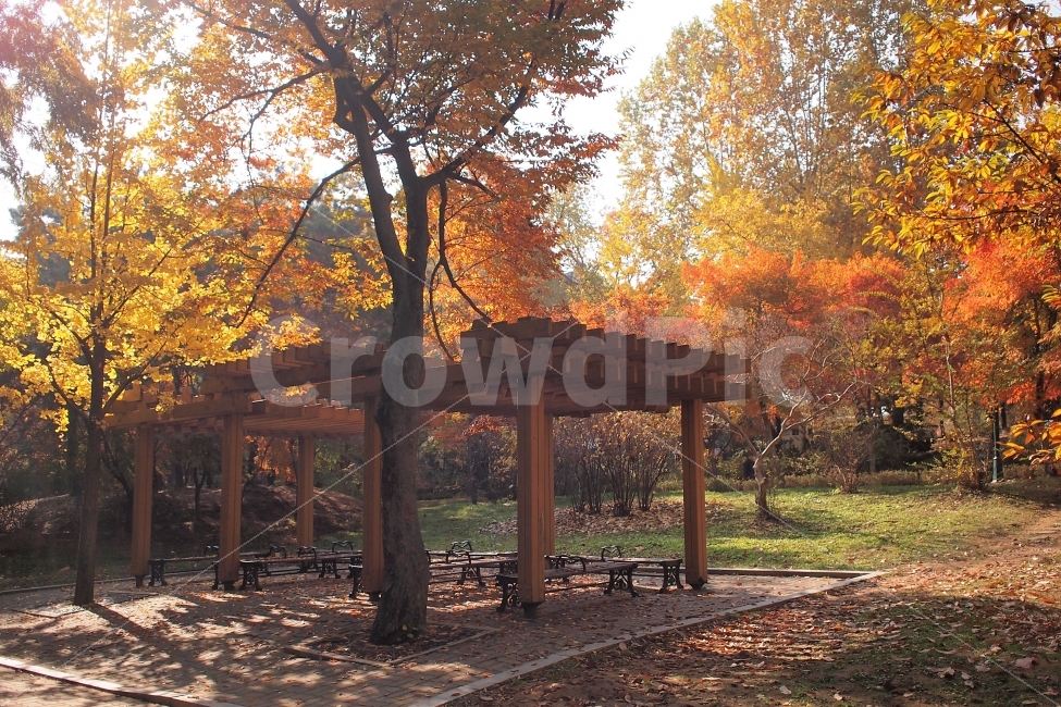 가을,공원,단풍,쉼터,낙엽,수채화,풍경,가을,계절,fall,autumn,season,자연,풍경,nature,landscape,한국자연풍경,한국자연경관,korea nature landscape,식물,plants,나무,trees,wood,porch,현관,patio,안마당