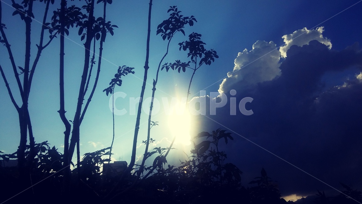 빛,구름,나무,풍경,먹구름,자연,식물,비온후하늘,light,cloud,tree,scenery,darkcloud,nature,plants,자연,풍경,nature,landscape,flare,플레어,sunlight,햇빛