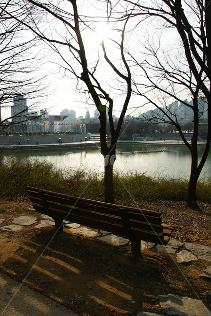 공원,벤치,쓸쓸한,외로운,공원벤치
