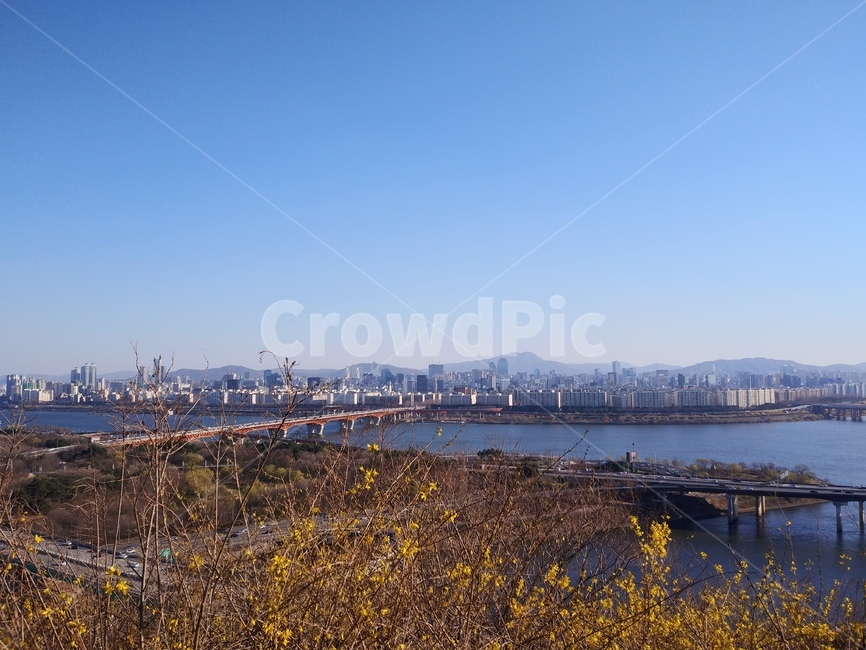 nature,자연,outdoors,옥외,강,다리