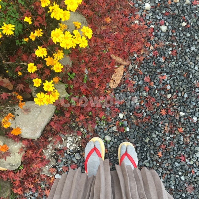 가을,료칸,여행,일본,유후인,온천,발,신발,게다
