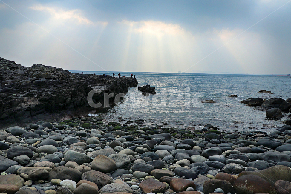제주도,서귀포,박수기정,해안가,바다,풍경,옥외,자연,outdoors,nature