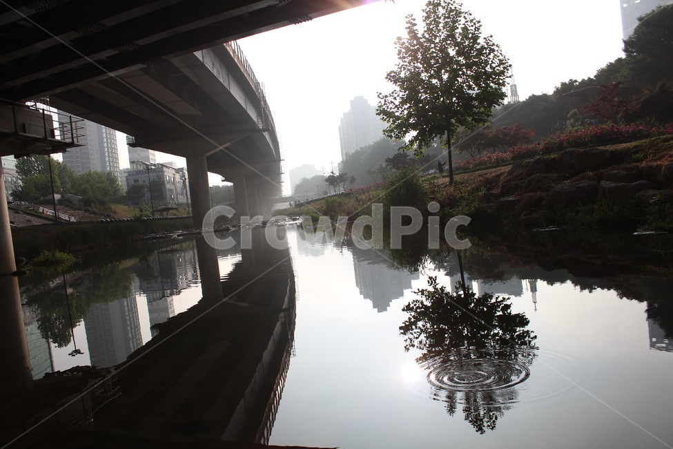 새벽,경치,자연,나무,물,반영,하천,자연,풍경,nature,landscape,water,outdoors,옥외