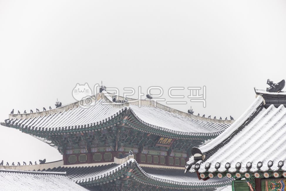 경복궁,조선시대왕궁,눈내린궁,눈덮힌기와,겨울궁궐,경복궁눈,기와지붕,건물,한국식건물,palace,architecture,building,겨울,계절,winter,season,한국전통,한국문화,korean traditional,korean culture