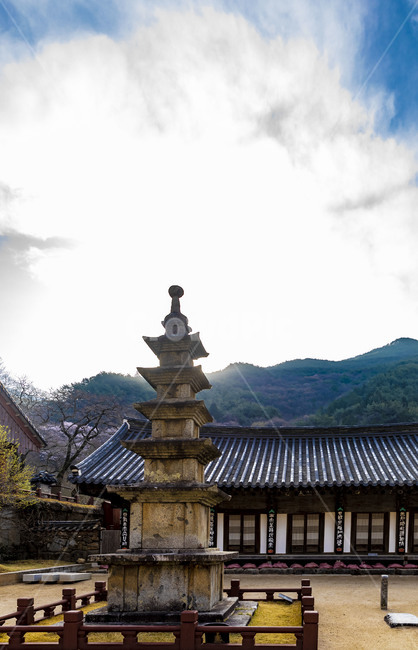 화엄사,사찰,석탑,구름,문화유산,문화재,관광지,전통건축물,감성,기와지붕,하늘