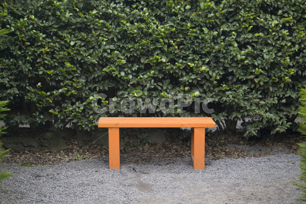 bench,벤치,의자,쉼터,생각,정적,고요함,숲길,나무,자연,성찰,자아,홀로,아무도없는,인생,휴식,길