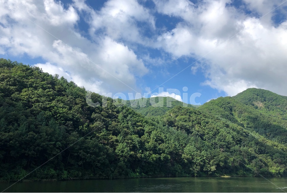 vegetation,초목,plant,식물,nature,자연,outdoors,옥외,land,땅,나무,tree,water,물,자연,풍경,nature,landscape,rainforest,열대 우림,jungle,밀림