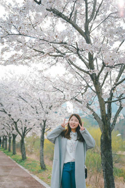 여자,벚꽃,봄,flower,cheeryblossom,blossom,portrait,봄,계절,spring,season,사람,인물,인간,human,person,여성,여자,woman,female,lady,plant,식물,꽃