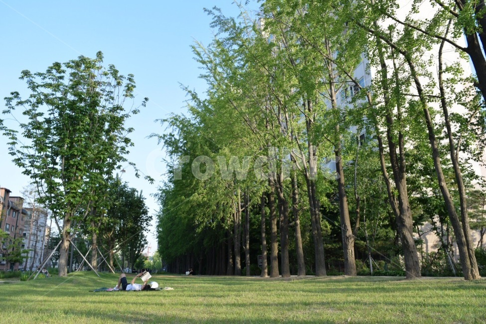 연남동,연트럴파크,홍대공원,연남동공원,풍경,도시,도심,휴식,힐링,rest,relaxation,healing