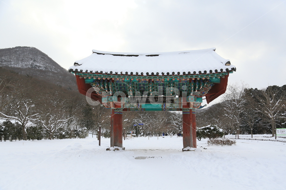 고창,선운사,선운사설경,설경,겨울,겨울,계절,winter,season,한국전통,한국문화,korean traditional,korean culture,종교,신앙,religion,belief,faith,건축물,건물외관,exterior,building,structure,architecture,construction