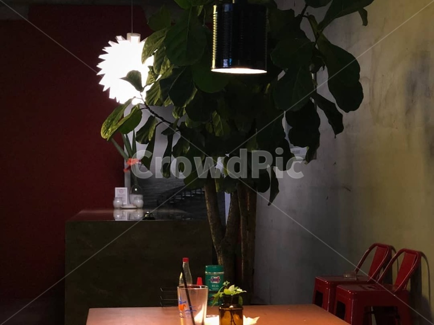 조명,레스토랑,피자,맛집,조명등
