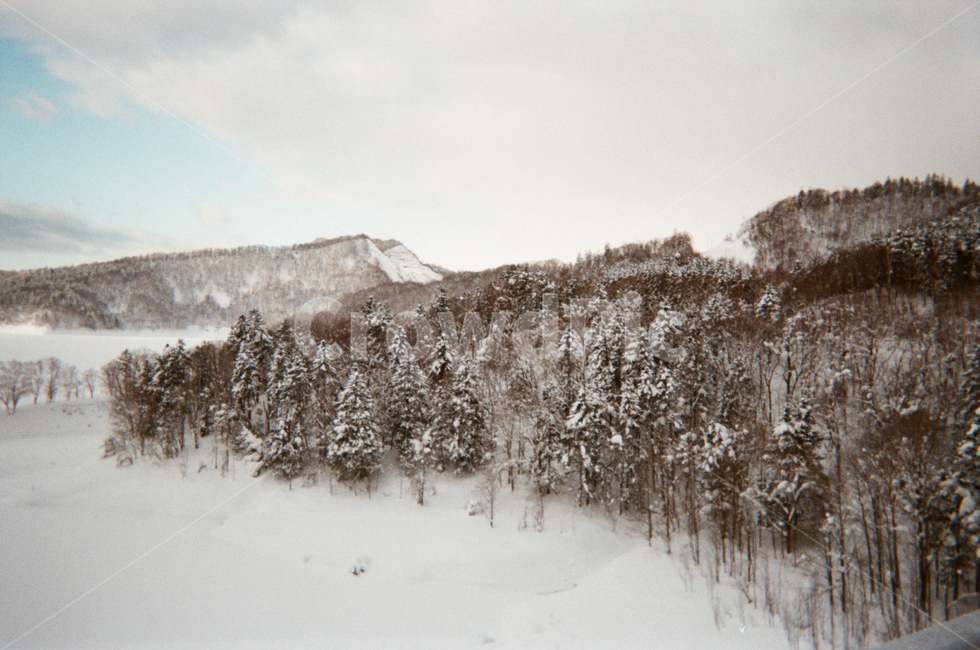 눈덮힌산,눈덮힌강,설산,겨울산,겨울풍경,홋카이도,설경,겨울,계절,winter,season,자연,풍경,nature,landscape,tree,나무,plant,식물,fir,전나무