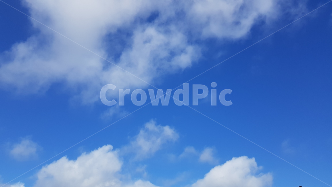 샌프란시스코,하늘,낮,풍경,경치,구름,자연,풍경,nature,landscape,azure sky,푸른 하늘,sky,outdoors,옥외