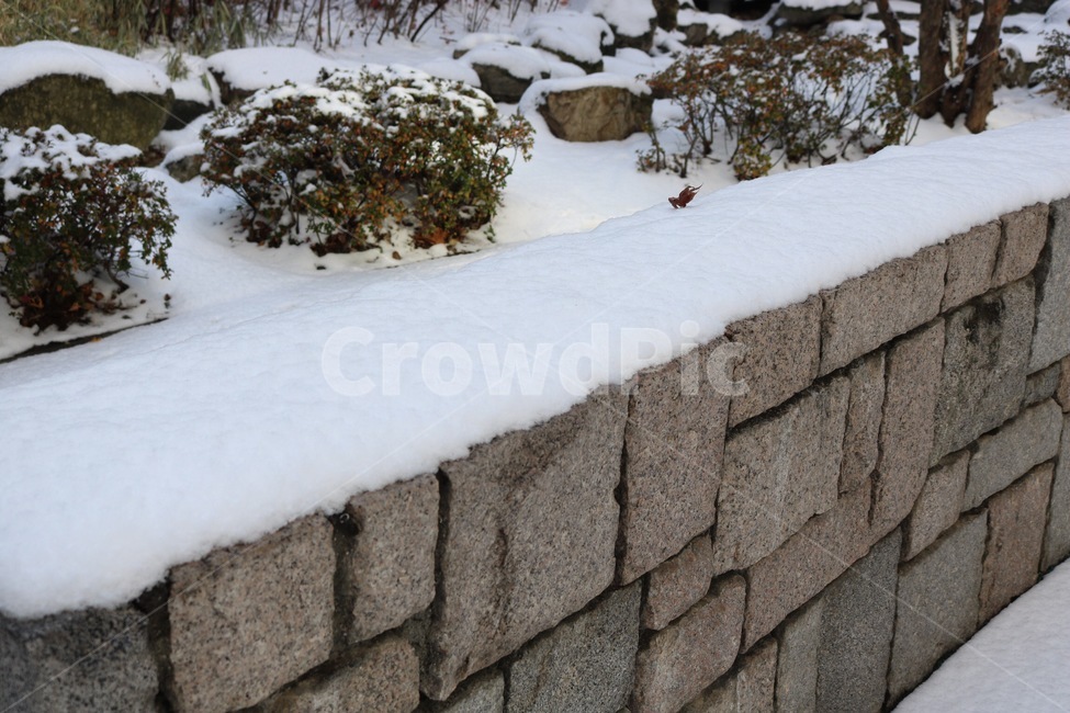 돌,울타리,눈,자연,식물,흰색,초록,stone,isi,snow,yuki,nature,plants,shokubutsu,white,shiro,green,midori,겨울,winter,huyu