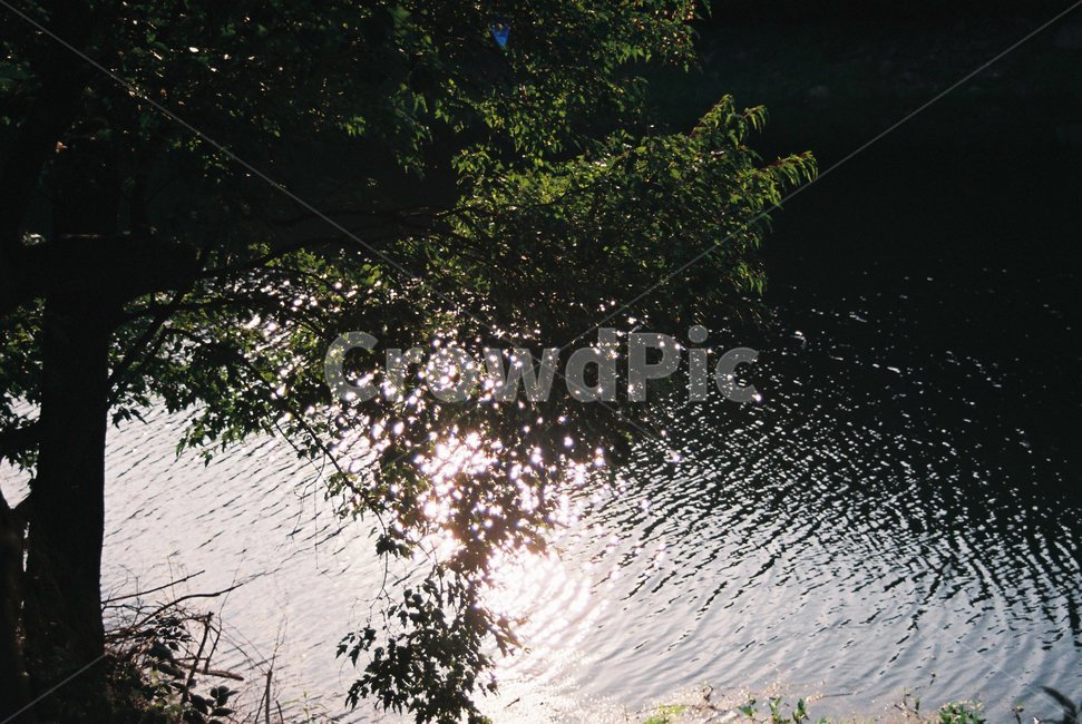 water,물,강,river,파동,waves,nature,자연,outdoors,옥외,빛,빛반사,반사,tree,나무,저수지,자연,풍경,nature,landscape