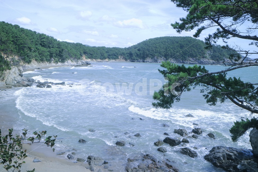 바다,풍경,자연,산,부산,다대포,몰운대,나무,파도,자연,풍경,nature,landscape,해변,바다,beach,sea,promontory,곶,shoreline,해안선,water,물,ocean,대양,outdoors,옥외