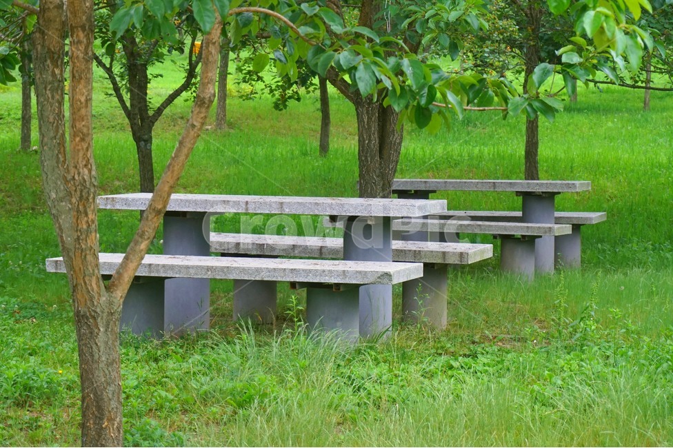 나무,푸른,그린,잔디,쉼터,돌,ston,tree,green,shelter,휴식,힐링,rest,relaxation,healing