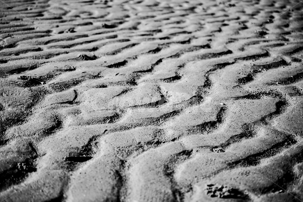 모래사장,모래,바다,자국,을왕리,자연,풍경,nature,landscape,해변,바다,beach,sea,흑백,모노톤,monochrome,black and white,soil,흙,sand,outdoors,옥외