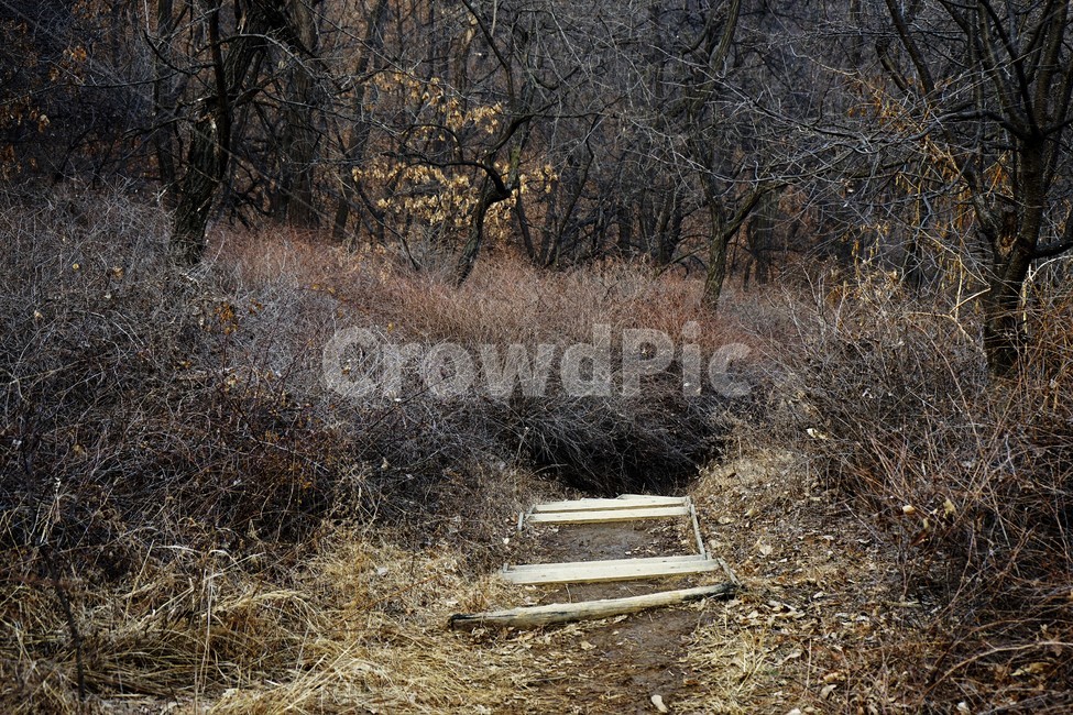 겨울산행,계절,잎,마른잎,계단,길,자연,풍경,nature,landscape,ground,바닥,dirt road,흙길,gravel,자갈,road,도로