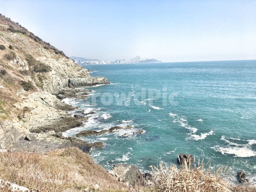 바다,절벽,물,부산,파도