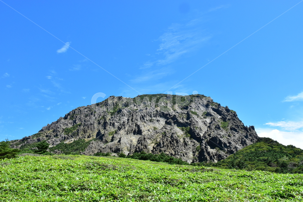 영실,한라산,제주,기암괴석,절경,자연,풍경,힐링,여름,계절,탐방,등산,남벽,윗세오름,season,nature,landscape,한국자연풍경,한국자연경관,korea,naturelandscape,제주도,jeju,jejuisland,자연,풍경,nature,landscape,한국자연풍경,한국자연경관,korea nature landscape,제주도,jeju,jeju island,outdoors,옥외,grassland,목초지,field,들