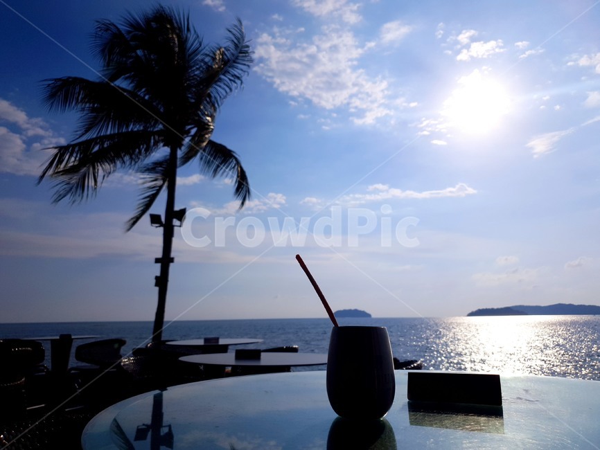 분위기,감성,바다,카페,야자수,sea,cafe,sky