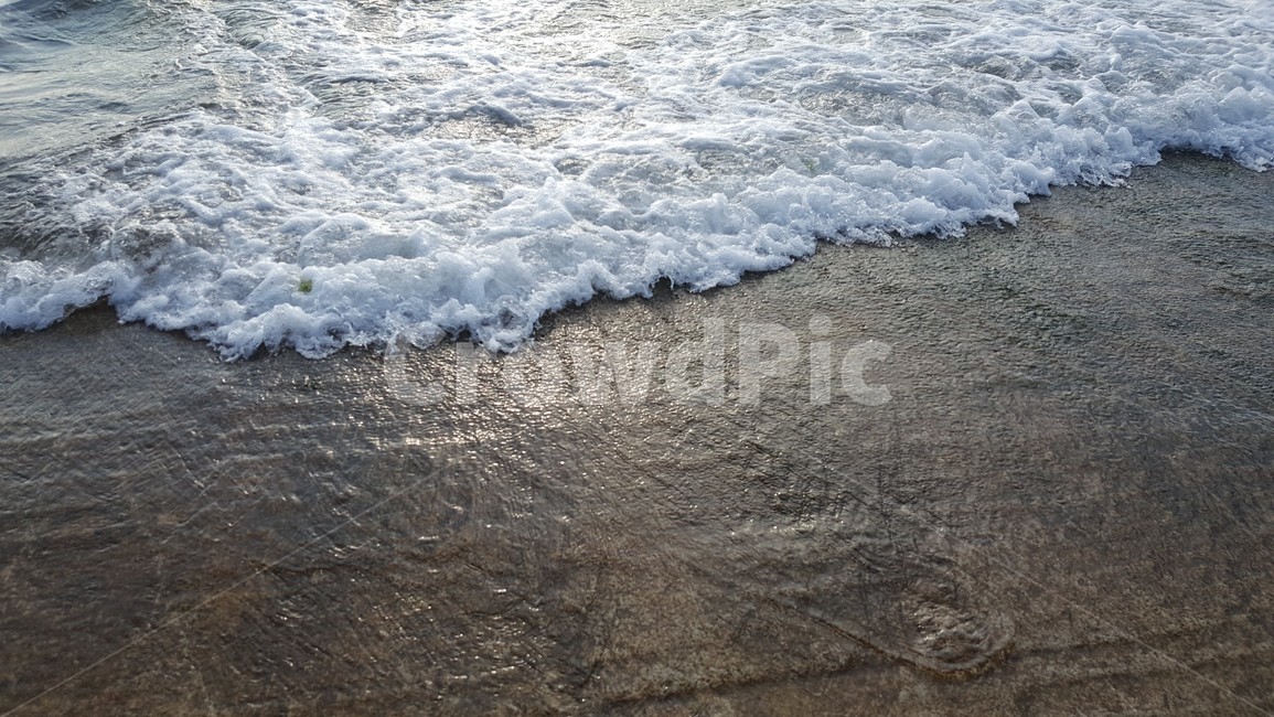 파도,바다,물결,거품,해변,하얀,sea,여름,시원함