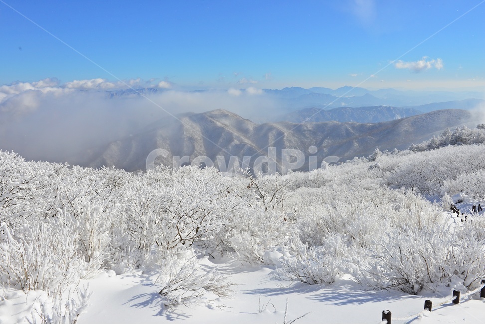 전북,무주,설천봉,상고대,상제루,mountainrange,산맥,winter,겨울,blizzard,눈보라,storm,폭풍,nature,자연,outdoors,옥외,ice,빙,snow,눈,mountain,산,향적봉,겨울,계절,winter,season,자연,풍경,nature,landscape