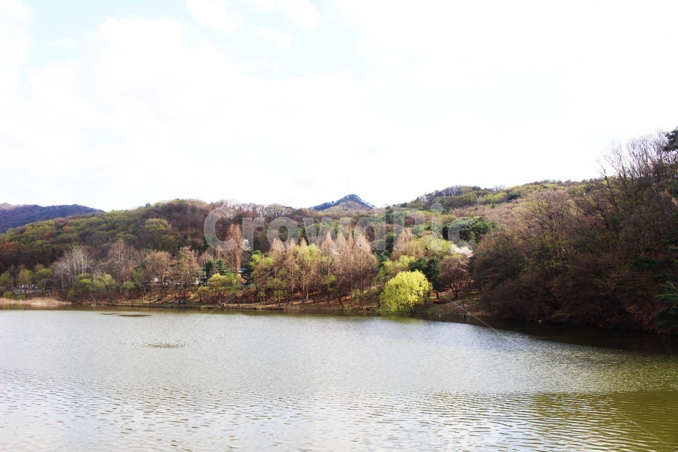 강,풍경,하늘,강물,나무,숲,구름,자연,나들이,야외,물결,물살,공원,가을,계절,fall,autumn,season,자연,풍경,nature,landscape,water,물,outdoors,옥외,reservoir,저수지