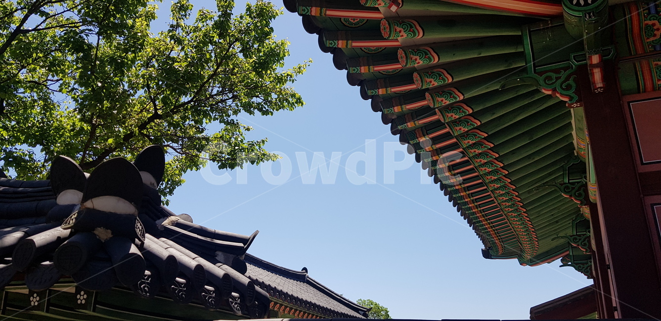 궁궐,전통,한옥,기와,traditional,한국,korea,korean