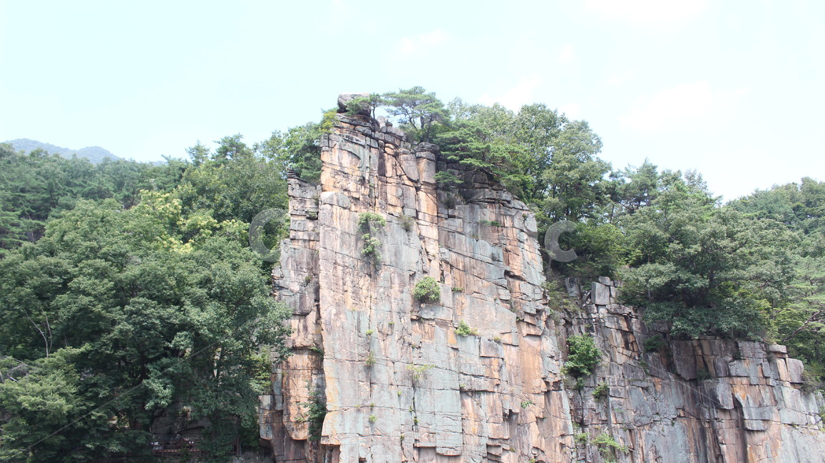 단양팔경,사인암,절벽,나무,풍경,자연환경,돌,명승,단양,자연,풍경,nature,landscape,한국자연풍경,한국자연경관,korea nature landscape,outdoors,옥외,cliff,낭떠러지