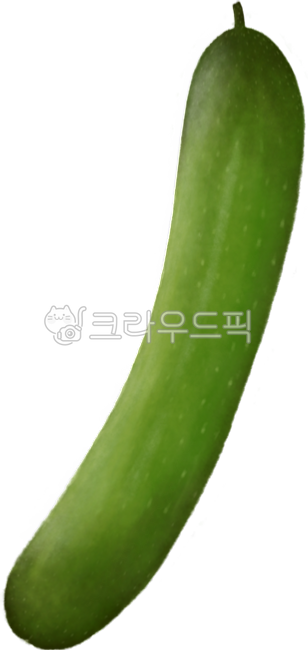 Cucumber illustration,vegetable illustration,vegetable illustration,cucumber png,cucumber,cucumber hand drawing,cucumber,green cucumber,whole cucumber,cucumber elements