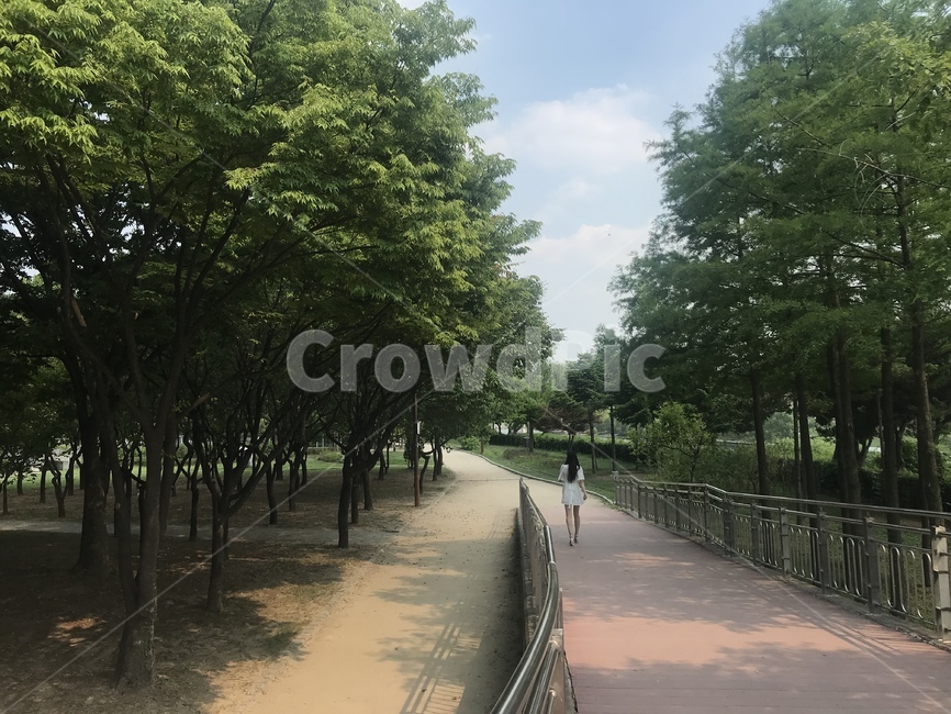 person,사람,인간,human,garden,정원,뒷모습,한강