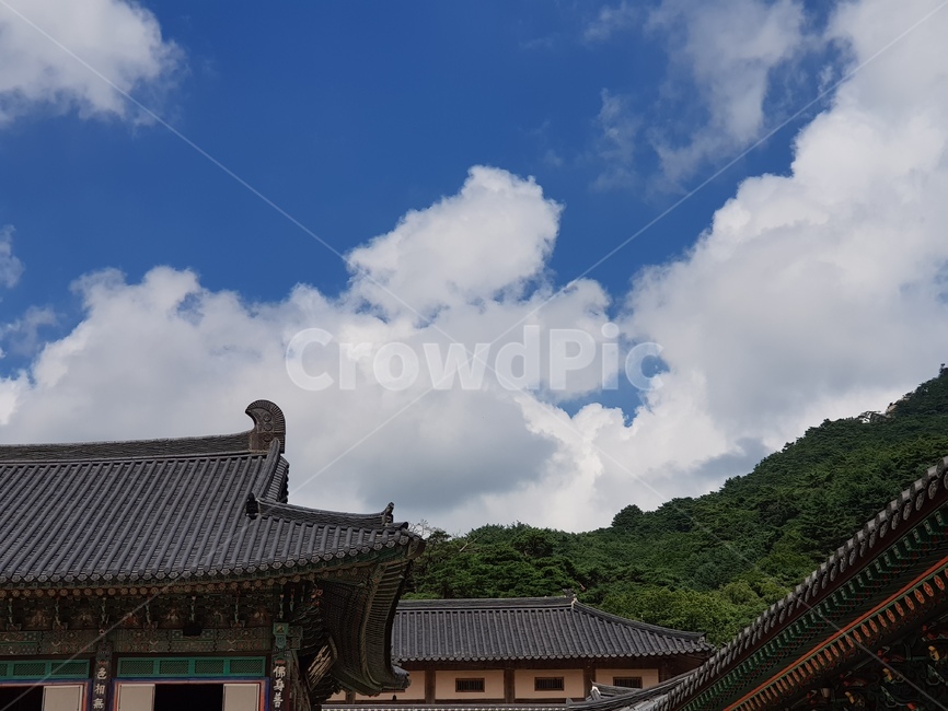 구름,맑음,지붕,자연,경치