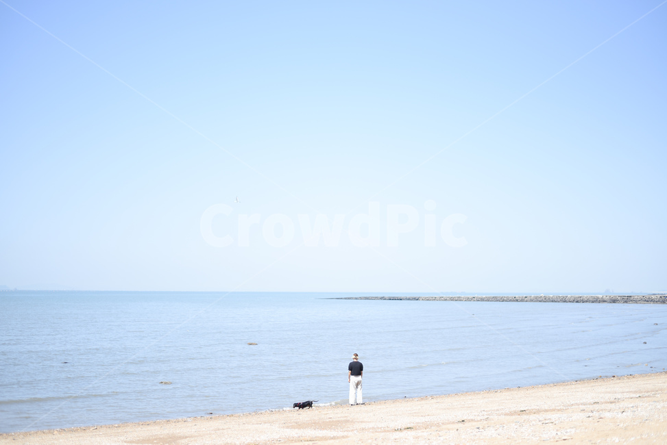 바다,궁평해수욕장,해변,바닷가,해수욕장,sea,닥스훈트,모래사장,맑은날,해안,해안가,서해안