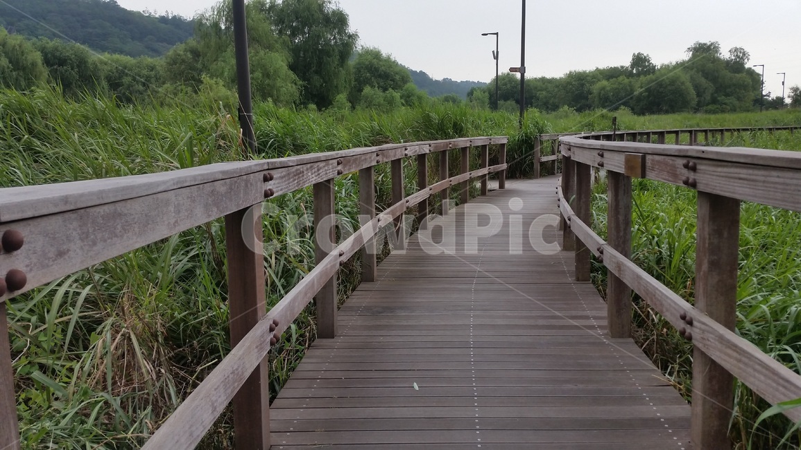 나무데크,길,다리,산책로,bridge